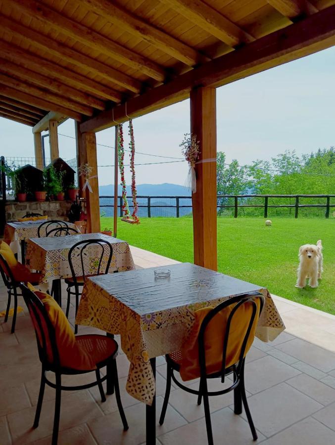 Terra Del Bosco Agriturismo Sesta Godano Bagian luar foto