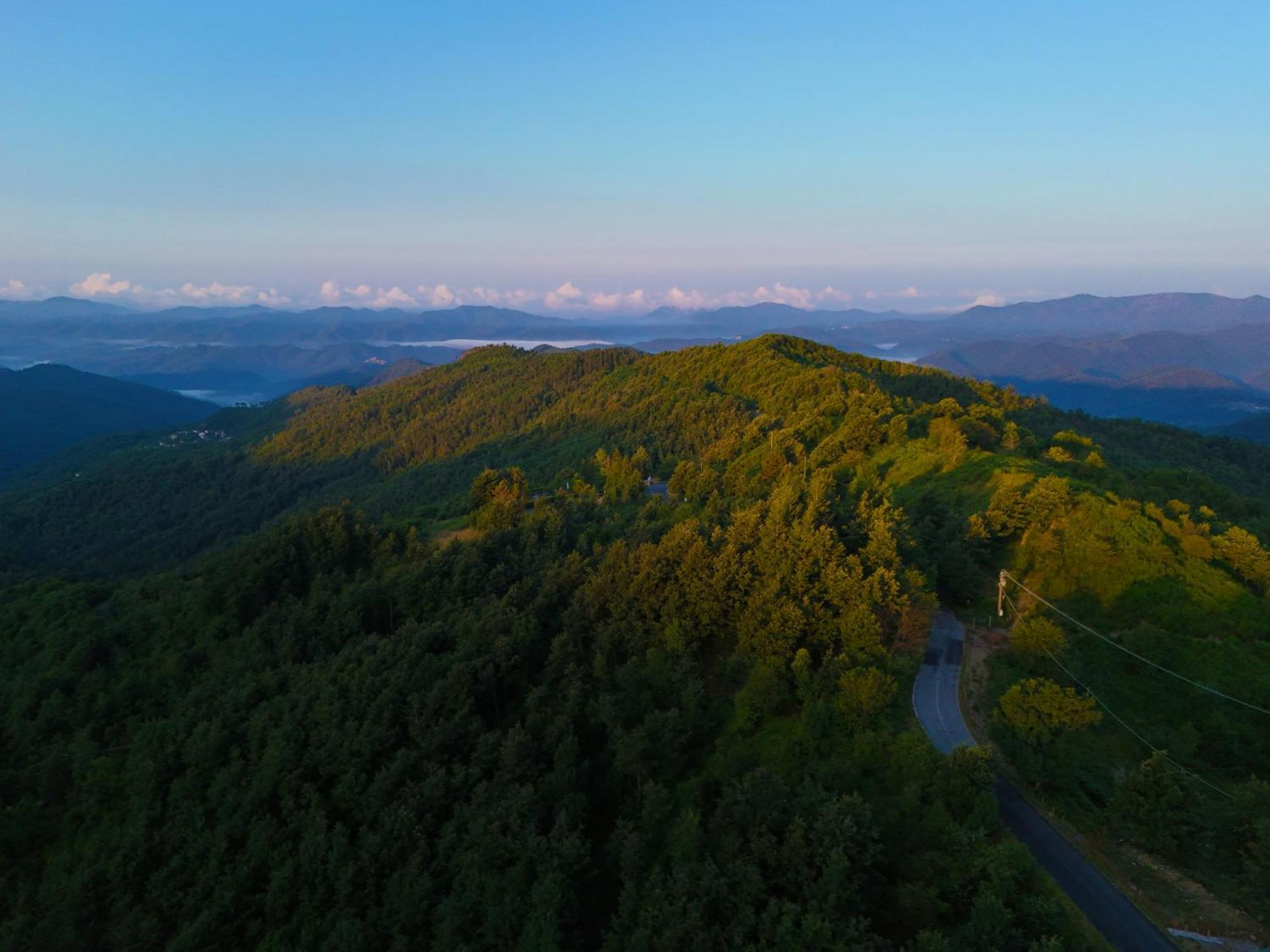Terra Del Bosco Agriturismo Sesta Godano Bagian luar foto