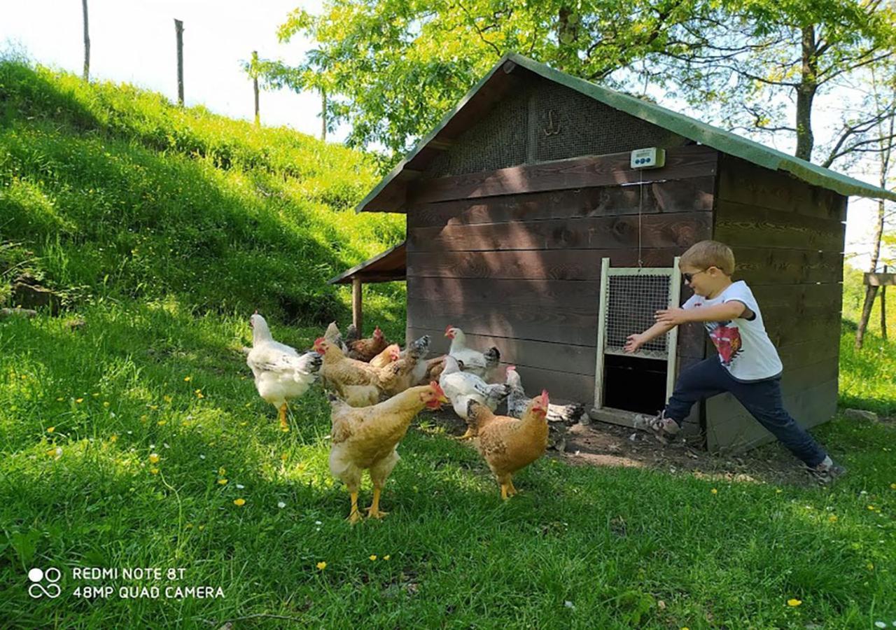 Terra Del Bosco Agriturismo Sesta Godano Bagian luar foto
